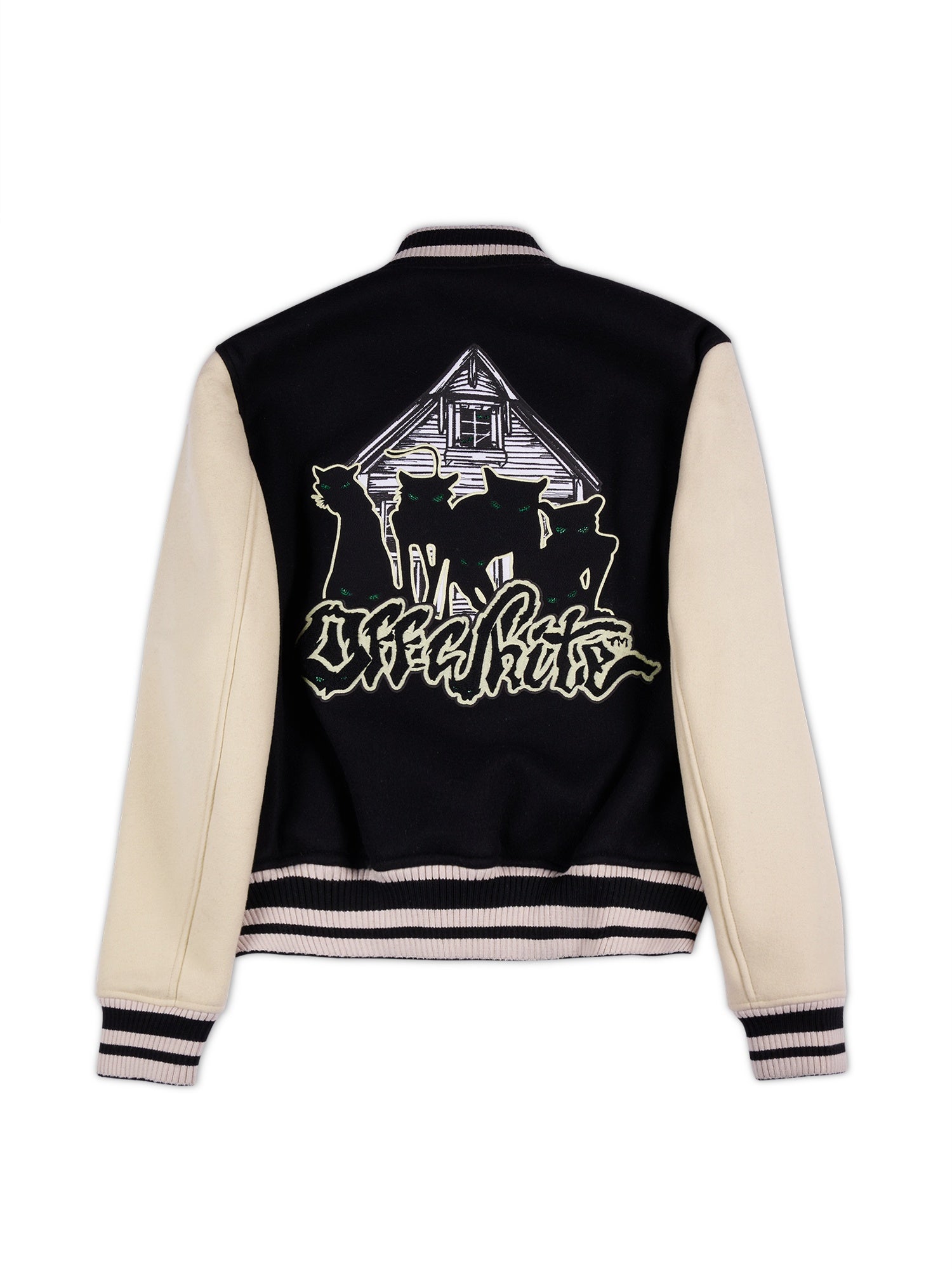 Panthers Ol Reg Varsity Jacket